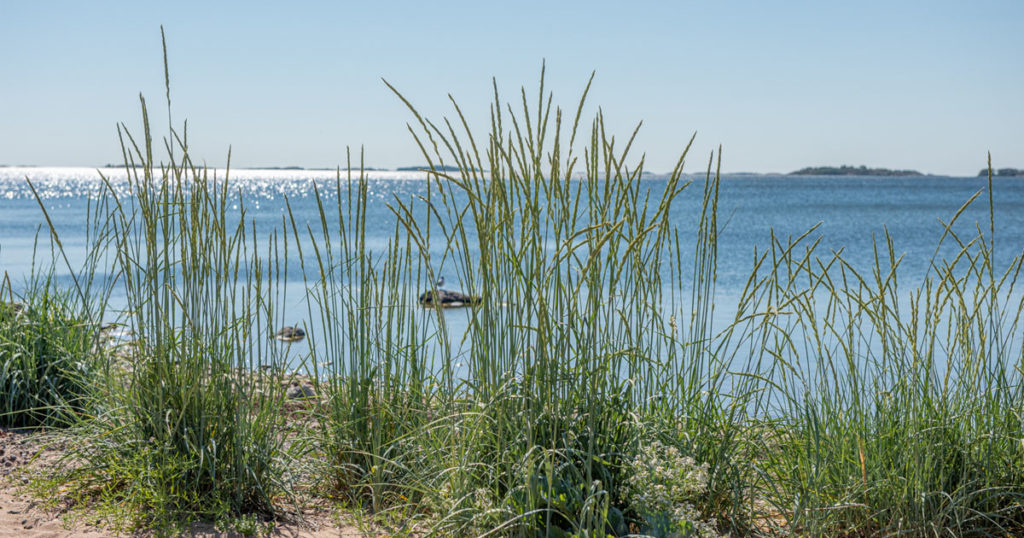 Avoin työpaikka: Haemme vesistöasiantuntijaa kunnostushankkeisiin