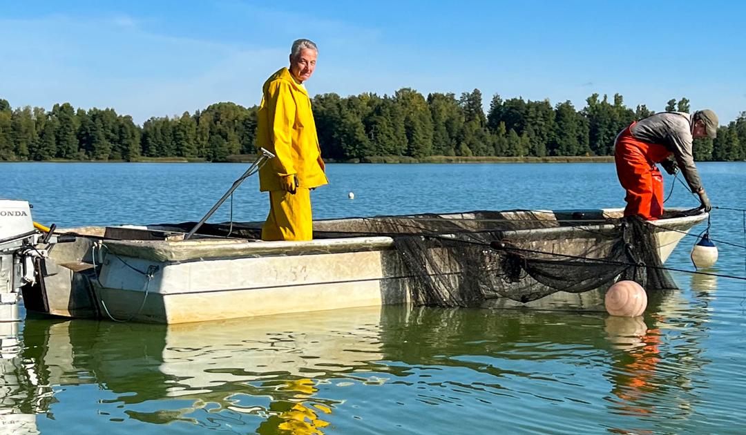 Vihdin Enäjärven tehokalastus oli menestys – vuosikymmeniä jatkunut rehevöityminen taittuu kuitenkin vain pitkäjänteisellä työllä 