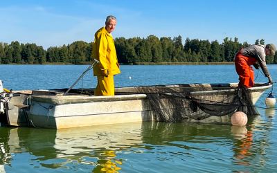 Vihdin Enäjärven tehokalastus oli menestys – vuosikymmeniä jatkunut rehevöityminen taittuu kuitenkin vain pitkäjänteisellä työllä 