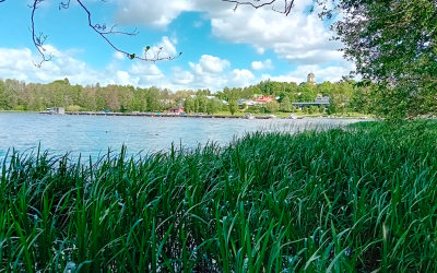 Vihdin vesistöpäivä 27. marraskuuta: Vesikasvit ja vieraslajit – Missä kulkee raja hyödyn ja haitan välillä?