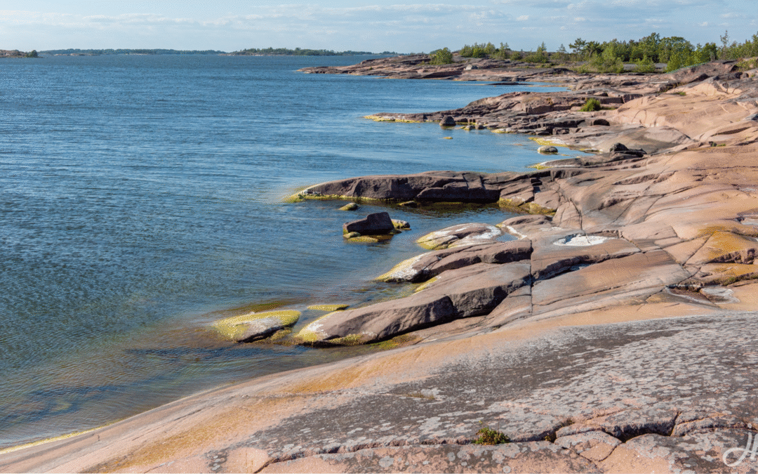 Avoin työpaikka: haemme toiminnanjohtajaa