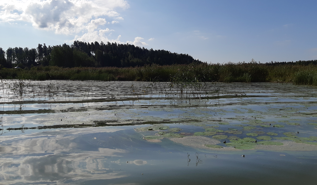 Effekterna av den diffusa belastningen, de lokala avloppsvatteneffekterna samt de tilltagande väderfenomenen kan ses i vattenkvaliteten i Sjundeå å och Pickalaviken 