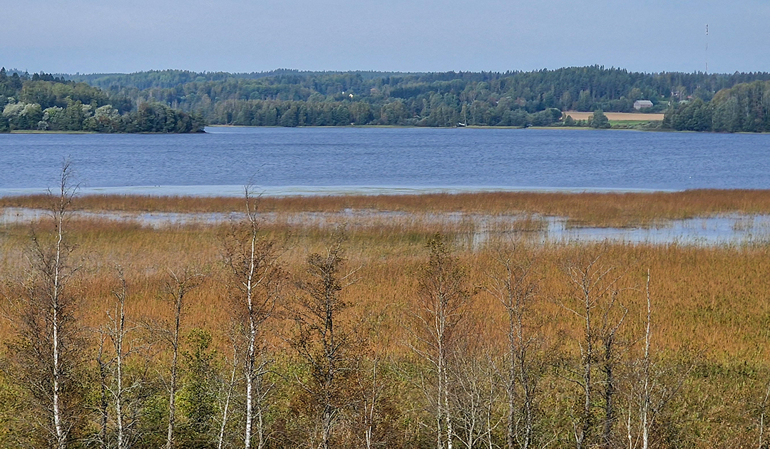 Karkkilan Pyhäjärven kunnostussuunnitelma