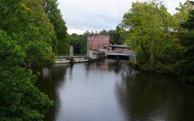 Vandringsförbindelsen mellan Lojo sjö och Östersjön fördröjs: förvaltningsdomstolens nya beslut tillåter inte att konstruktionen av fiskvägar påbörjas
