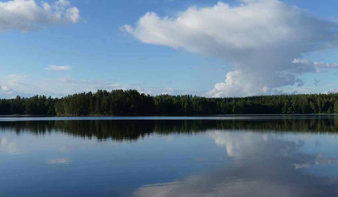 Jäsenesittely: Vihtijärven-Lapoojärven suojeluyhdistys ry